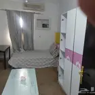 غرفه مفروشه بحمام منفصل فى شارع الخزان