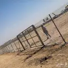 نقوم بااعمال اسياج الشبوك بجميع انوعها