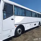 إيجار تاتا .اشوك باص مع سواق 66 كرسي