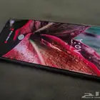 نت عشرين عادي