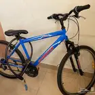 sportex bike