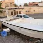 جرم النورس 31 قدم
