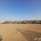 يوجد لدنيا سكراب بطن ويوجد سكراب شيله بيله