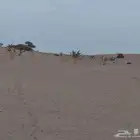 يوجد لدينا درون ميني 5كومبو بلس للتعليم والاجار والترفيه .