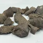 عود فتنامي طبيعي