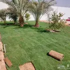 مقاول شبكات ري ثيل طبيعي تنسيق حدائق لاندسكيب