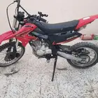 دباب صحراوي