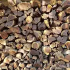 حطب جنوب أفريقي للبيع أكياس بإسمك