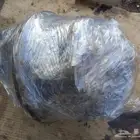 كرونة دينا ايسوزو