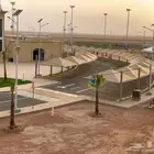 مضلات النخبه