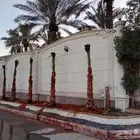 Washington palm Abu Marwahs decoration luxury firstclass Was