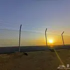 مقاول شبوك زراعيه تركيب شبك مزارع سياجات