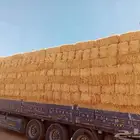 سوق الاعلاف البرسيم والتبن والرودس وجميع انواع الاعلاف