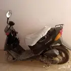 دباب بطه للبيع