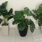 زرع اصطناعي