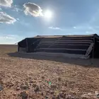 بيت شعر