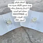 صحون الياف بصريه شبكه 2