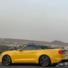 موستنج 2018 كشف