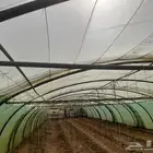 للبيع بيوت محمية فرنسي مجلفن العدد سبعه