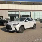 لكزس NX350 2025 AA خليجي