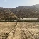 للبيع أرض زراعية بصك الكتروني بمحافظة أضم