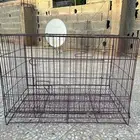 شبك قطط أو طيور كبير قابل للطي