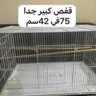 اقفاص نظيفة للبيع