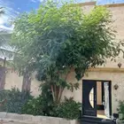 للبيع فيلا متصله في حي اللولو ابحر الشماليه