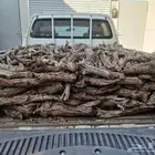 ارطى مسح صندوق هايلوكس غمارتين وسمر المدينة