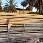 شبوك ابل وابقار مستعمل نظيف جدا عدد 30 حبه