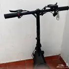 درفت ابو سله
