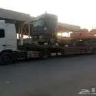 لوبد متواجد في جده