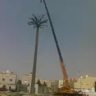 ايجار كرين جده 25طن50طن100طن الرقم الجوال