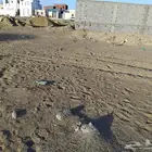 نصف قطعه بالنعيم الف رابغ 160 الف صافي