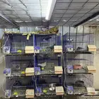 محاكر للبيع سلاكات مع كامل اغراضهم