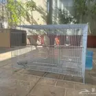 كروان ذكر و أنثى والفين على بعض سبق انتج صغار مع القفص