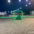 مخيم الصقر