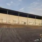 ثلاجات تبريد لإيجار السنوي بالقرب من الخليل