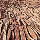 حطب قرض افريقي اسعار جملة الجملة للي يبي يسترزق الله