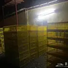 سلة نقل الدجاج