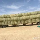 للبيع لفات رودس تماتيك شد طيب وزنه من 200 كيلو إلى 240