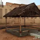 مضلات