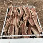 للبيع ددسن غماره موجود مبروم وشلايخ ددسن شرط يبس