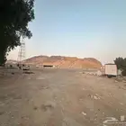 مستودع للايجار بحي المحاميد