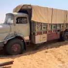 عايدي بوز 1977