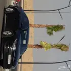 اوبتيما 2017 للبيع