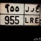 لوحة خصوصية