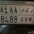 لوحة ريس للبيع