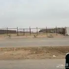 حوش وسوق البل