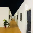 غرف عزاب استديو للايجار